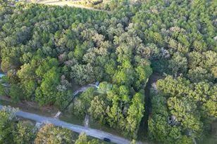 450 Dove Creek Dr, Coldspring, TX 77331 - Photo 48