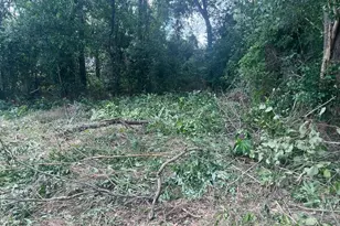 611 Danover St, Katy, TX 77494 - Photo 16