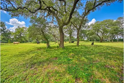 10100 Harmon School Road, Burton, TX 77835 - Photo 12