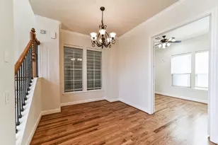1117 St Agnes St, Houston, TX 77030 - Photo 20