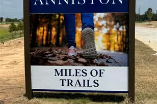 26211 Alaskan Blue Cir, Katy, TX 77493 - Photo 14