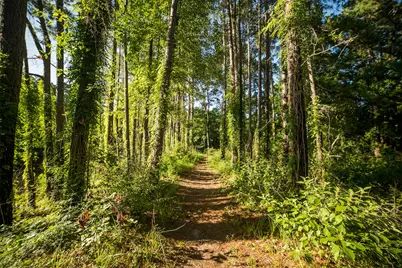 15-34-51 Alamo Drive, Huntsville, TX 77340 - Photo 24