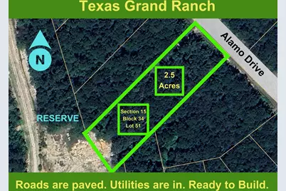 15-34-51 Alamo Drive, Huntsville, TX 77340 - Photo 4