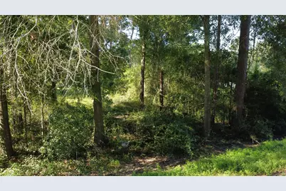 00 Spanish Oaks Dr, New Caney, TX 77357 - Photo 4