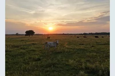 000 Hwy 65, Anahuac, TX 77514 - Photo 26