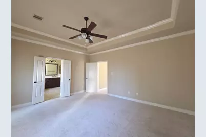 14 Jonquil Place, Tomball, TX 77375 - Photo 20