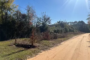 Tbd Shenandoah Ln, Livingston, TX 77351 - Photo 1