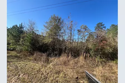 Tbd Shenandoah Lane, Livingston, TX 77351 - Photo 10