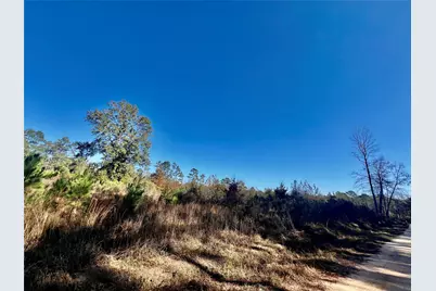 Tbd Shenandoah Lane, Livingston, TX 77351 - Photo 6