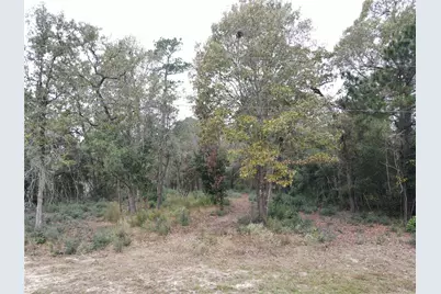 106 Ebner Lake Front Drive, Montgomery, TX 77316 - Photo 2