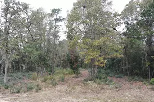 106 Ebner Lake Front Dr, Montgomery, TX 77316 - Photo 2