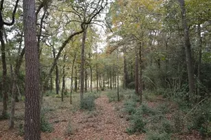 106 Ebner Lake Front Dr, Montgomery, TX 77316 - Photo 4