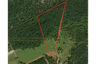 Tbd Molk Rd, Willis, TX 77378 - Photo 1