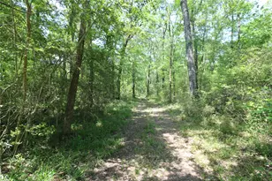 Tbd Molk Rd, Willis, TX 77378 - Photo 20