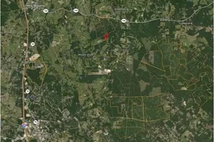 Tbd Molk Rd, Willis, TX 77378 - Photo 4