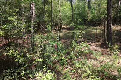 Tbd Molk Road, Willis, TX 77378 - Photo 22