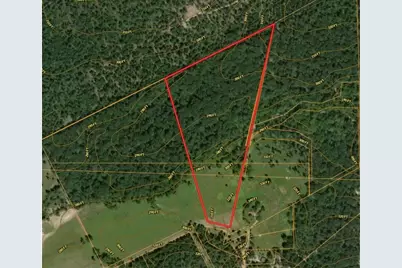 Tbd Molk Road, Willis, TX 77378 - Photo 2