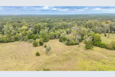 Tbd Molk Road, Willis, TX 77378 - Photo 6