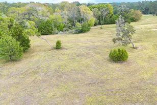 Tbd Molk Rd, Willis, TX 77378 - Photo 10