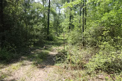 Tbd Molk Road, Willis, TX 77378 - Photo 24