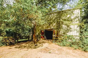 39526 Cimarron Way, Magnolia, TX 77354 - Photo 12