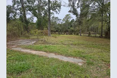 28715 Fm 2978 Road, Magnolia, TX 77354 - Photo 6