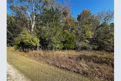 165 N Pine Harbour Drive, Coldspring, TX 77331 - Photo 2