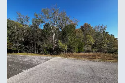 165 N Pine Harbour Drive, Coldspring, TX 77331 - Photo 4