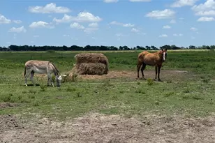 1604 Co Rd 370, El Campo, TX 77437 - Photo 42