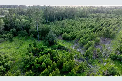 Tract 171 Calhoun Ct, Lovelady, TX 75851 - Photo 6