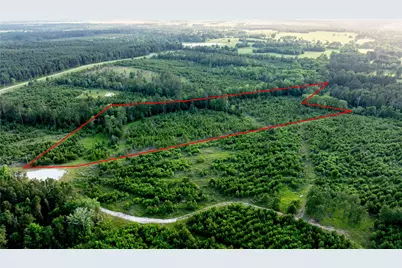 Tract 171 Calhoun Ct, Lovelady, TX 75851 - Photo 8