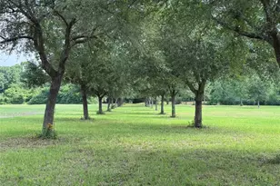 24077 Old Dobbin Plantersvil Rd, Montgomery, TX 77316 - Photo 1