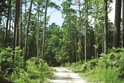 5-23-29 Rim Rock Road, Huntsville, TX 77340 - Photo 24