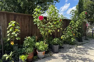 7518 Gracia St, Houston, TX 77037 - Photo 14