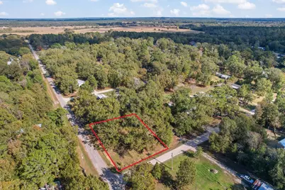 344 Wilcox Drive, Livingston, TX 77351 - Photo 1