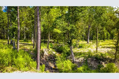 1236 Spencer 1 Road, Groveton, TX 75845 - Photo 10