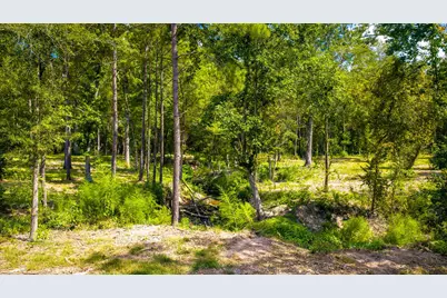 1236 Spencer 1 Road, Groveton, TX 75845 - Photo 12