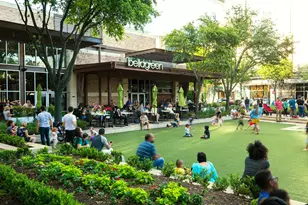 9410 Briar Forest Dr, Houston, TX 77063 - Photo 38