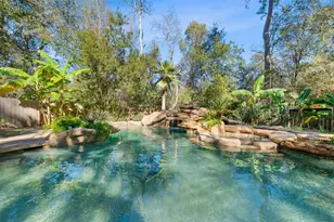 74 Blackstar Pl, The Woodlands, TX 77382 - Photo 36