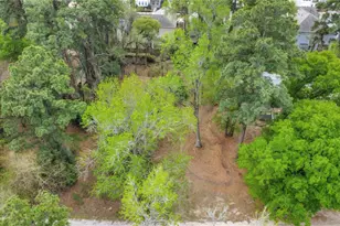 18207 Lark Ln, Conroe, TX 77384 - Photo 4