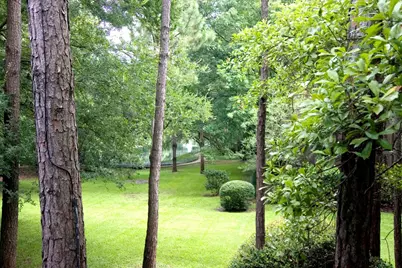 318 Litchfield Lane, Houston, TX 77024 - Photo 22