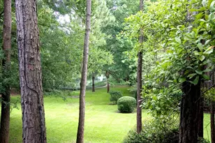 318 Litchfield Ln, Houston, TX 77024 - Photo 22