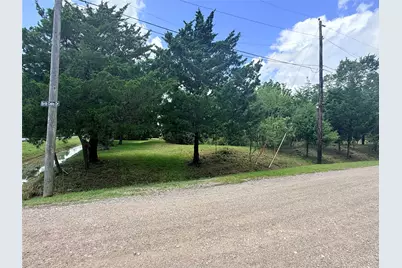 0 County Road 133, Alvin, TX 77511 - Photo 6