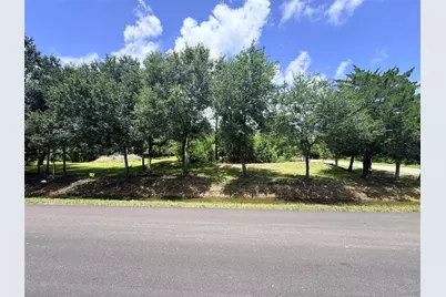 0 County Road 133, Alvin, TX 77511 - Photo 1
