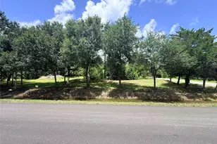 0 County Road 133, Alvin, TX 77511 - Photo 1