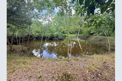 0 County Road 133, Alvin, TX 77511 - Photo 8