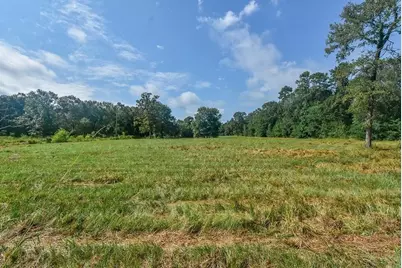 16428 Jireh Road, Conroe, TX 77306 - Photo 12
