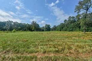 16428 Jireh Rd, Conroe, TX 77306 - Photo 12