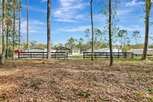 15738 W Relza Dr, Splendora, TX 77372 - Photo 32