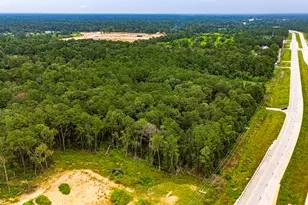 Tbd Hwy 242, Conroe, TX 77302 - Photo 4